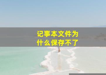 记事本文件为什么保存不了