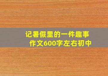 记暑假里的一件趣事作文600字左右初中