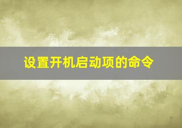 设置开机启动项的命令