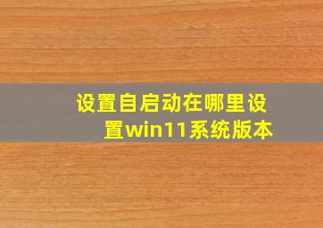 设置自启动在哪里设置win11系统版本