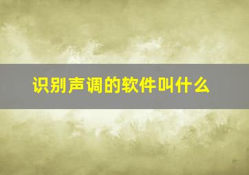 识别声调的软件叫什么