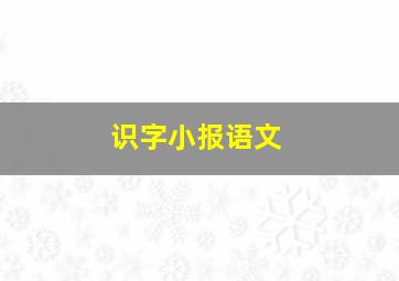 识字小报语文