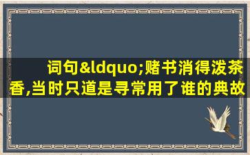 词句“赌书消得泼茶香,当时只道是寻常用了谁的典故”