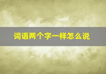 词语两个字一样怎么说