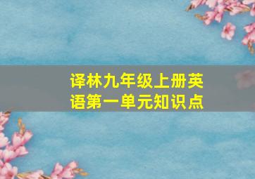 译林九年级上册英语第一单元知识点