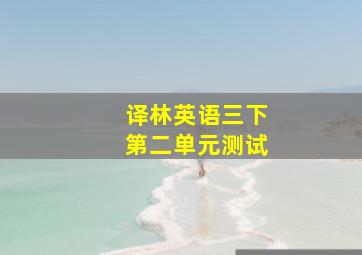 译林英语三下第二单元测试