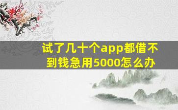 试了几十个app都借不到钱急用5000怎么办