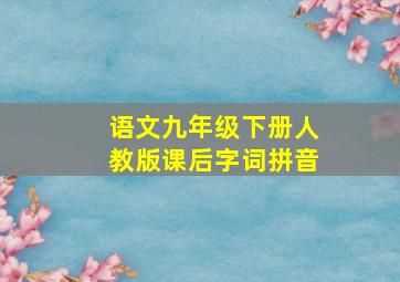 语文九年级下册人教版课后字词拼音