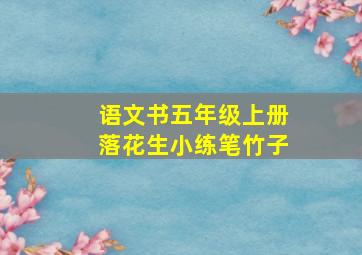 语文书五年级上册落花生小练笔竹子