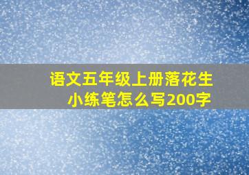 语文五年级上册落花生小练笔怎么写200字