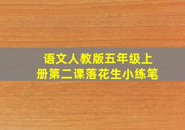 语文人教版五年级上册第二课落花生小练笔