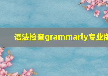 语法检查grammarly专业版