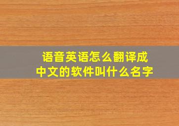 语音英语怎么翻译成中文的软件叫什么名字