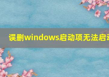 误删windows启动项无法启动