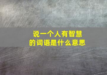 说一个人有智慧的词语是什么意思