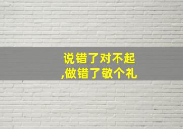 说错了对不起,做错了敬个礼