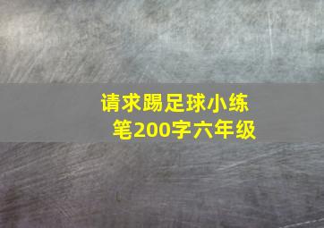 请求踢足球小练笔200字六年级