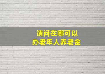 请问在哪可以办老年人养老金