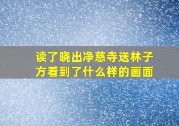 读了晓出净慈寺送林子方看到了什么样的画面