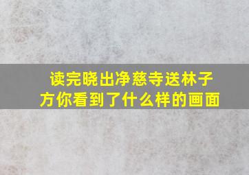 读完晓出净慈寺送林子方你看到了什么样的画面