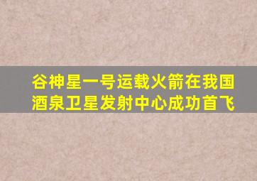 谷神星一号运载火箭在我国酒泉卫星发射中心成功首飞