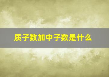 质子数加中子数是什么