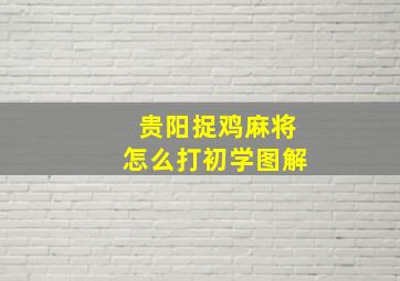 贵阳捉鸡麻将怎么打初学图解