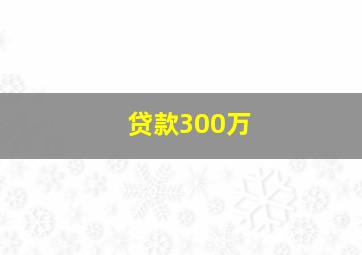 贷款300万