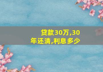 贷款30万,30年还清,利息多少