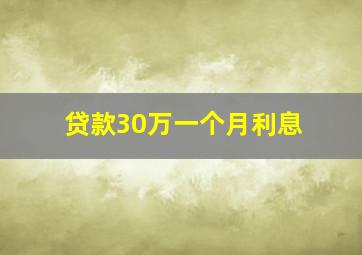 贷款30万一个月利息