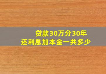 贷款30万分30年还利息加本金一共多少