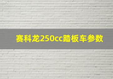 赛科龙250cc踏板车参数