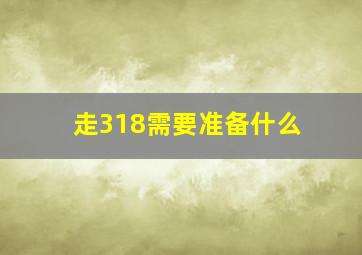 走318需要准备什么