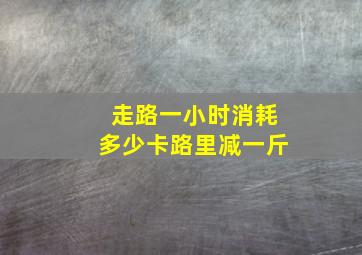 走路一小时消耗多少卡路里减一斤