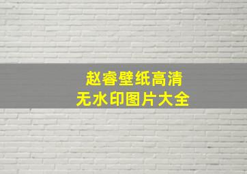 赵睿壁纸高清无水印图片大全