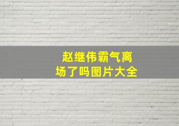 赵继伟霸气离场了吗图片大全