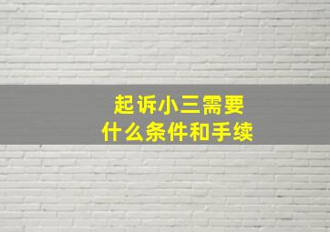 起诉小三需要什么条件和手续