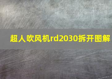 超人吹风机rd2030拆开图解