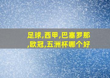 足球,西甲,巴塞罗那,欧冠,五洲杯哪个好