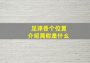 足球各个位置介绍简称是什么