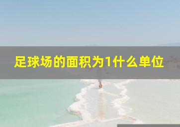 足球场的面积为1什么单位