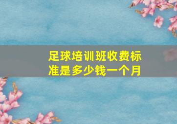 足球培训班收费标准是多少钱一个月