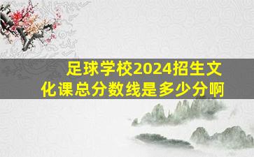 足球学校2024招生文化课总分数线是多少分啊