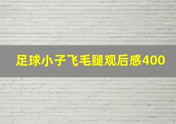 足球小子飞毛腿观后感400