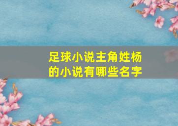 足球小说主角姓杨的小说有哪些名字