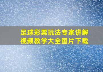 足球彩票玩法专家讲解视频教学大全图片下载