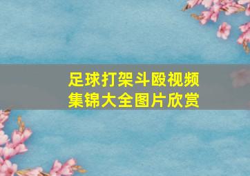 足球打架斗殴视频集锦大全图片欣赏