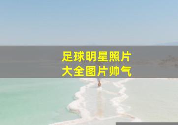 足球明星照片大全图片帅气