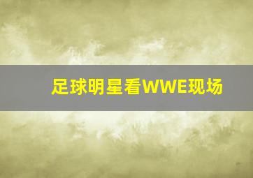 足球明星看WWE现场