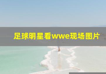 足球明星看wwe现场图片